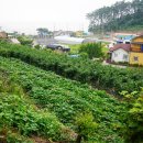 옛집황토방2 이미지