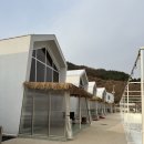 통유통 | 가평 풀빌라, 가평 독채 펜션 글램하바나 글램05객실 이용후기