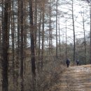 서해황금들녘길 이미지