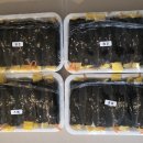 꾼들의꼬마김밥
