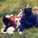 자매의하루 이미지