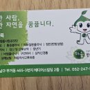 맑은숲예인한의원 이미지