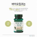 징코바이오 이미지
