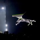 The멍멍 | ✣ 2025 실리카겔 단독공연 Syn.THE.Size X 후기🌱 ✣