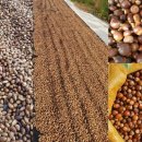 노고단-12 이미지