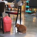 예쁜이 미용실