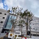 더빛Arkkids작은도서관 | 대구도서관 임시개관 다녀왔어요! 새로운 공간 첫인상 후기