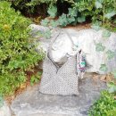 미뇽실