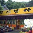 삼산승영중학교 제2회 동창회(2007.06.06 해명산산행) 이미지