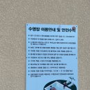 비토애〔:愛〕 이미지