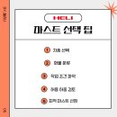 더마스트 이미지