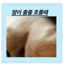 땀이줄줄 이미지