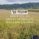 학수고대마을 이미지