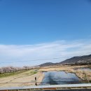 기계새마을운동장화장실 | 포항 아이랑 가기 좋은 벚꽃 이쁜 곳 - 기계새마을운동발상지운동장&amp;기계천