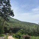 초록공원 이미지