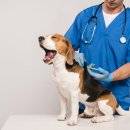 토비동물병원 이미지