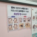 신데렐라속눈썹#
