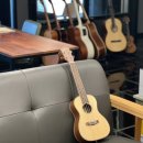 맑은 선율, 우쿨렐레 이미지