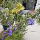 신효동-28 이미지