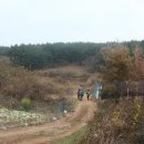 청룡초등학교장고분교장 이미지