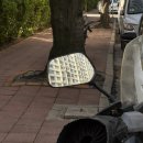 버스정류소_동부보건소 | 심야 프리미엄 버스타고 수원에서 부산 뚜벅이 여행_3월편