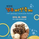 경주버섯 이미지