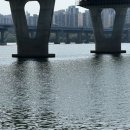 세븐일레븐 한강광나루2호점 이미지