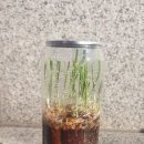 반달커피광주 - 광주시 도곡안길 53-6 | 반달커피광주