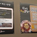 불난쭈꾸미 이미지