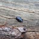 새로이농장 이미지