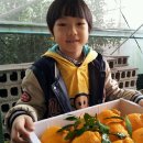 준서네 농장 이미지