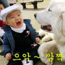 미소 이미지