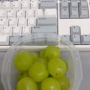 (주)세송