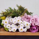 부여농장 이미지