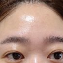 아미몽 이미지