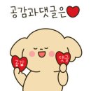 레드복싱클럽 이미지