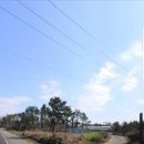 조수리엔 이미지