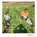 원막골민박 이미지