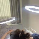 미우아카데미 라인