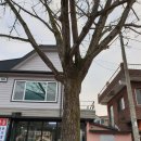 수야2리 경로당 이미지