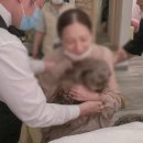 순천 반려동물장례식장 하늘별 이미지