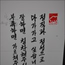 규사이 이미지