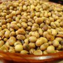 안동할매청국장 이미지