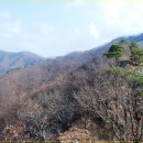 고산이랑 이미지