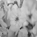 수 헬스케어 이미지