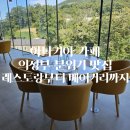 피자닷상인점 | 아나키아 의정부, 다이닝부터 베이커리까지 분위기 끝판왕 (예약 및 주차 팁, 공연 관람)
