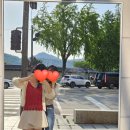 젤라또팔레트 이미지
