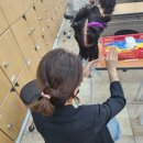 트렌미뷰티아카데미미용학원