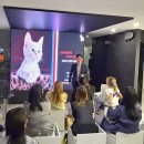 그레이스 고양이 병원 이미지