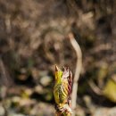 청풍농장 이미지